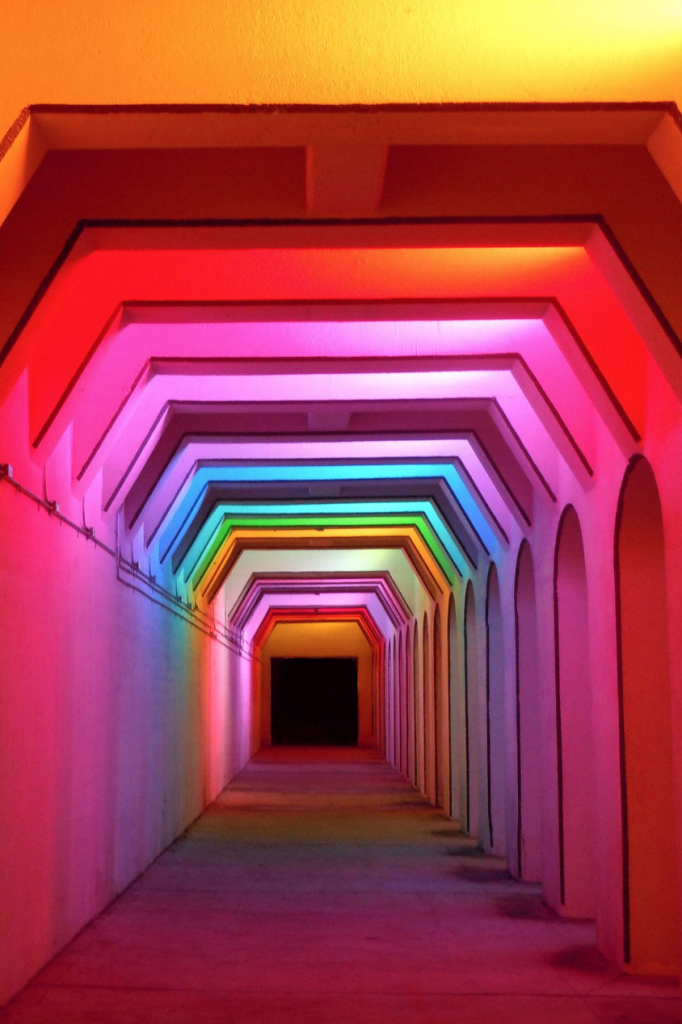 The Color Tunnel | I Do Bham 